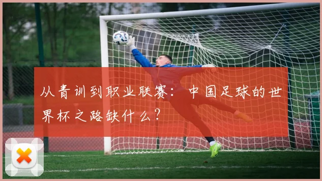 从青训到职业联赛：中国足球的世界杯之路缺什么？