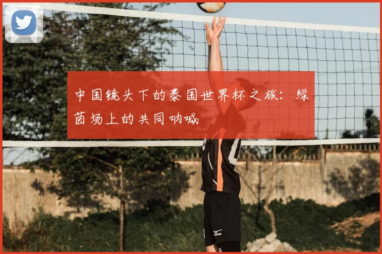 中国镜头下的泰国世界杯之旅:绿茵场上的共同呐喊