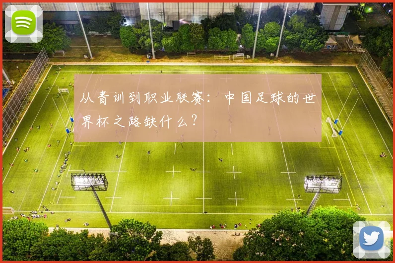 从青训到职业联赛：中国足球的世界杯之路缺什么？