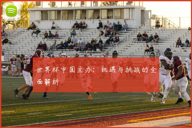 世界杯中国主办:机遇与挑战的全面解析