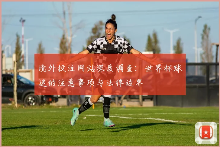 境外投注网站深度调查:世界杯球迷的注意事项与法律边界